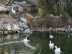 -天毓山庄·餐厅