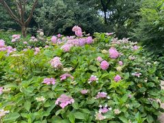 -共青国家森林公园-售票处