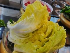 -龍歌自助小火锅(崂山丽达店)