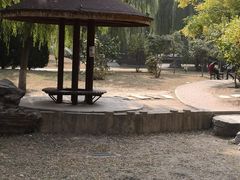 -芍药居北里