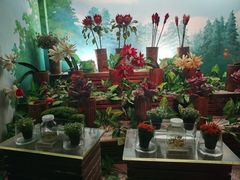 -上海科技馆(地铁站)