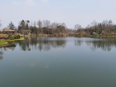 -桤木河湿地公园