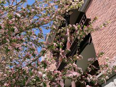 -天津津利华酒店