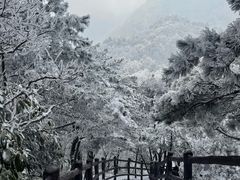 -九华山风景区