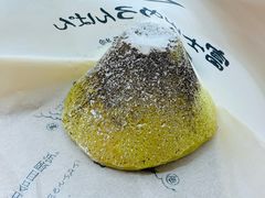 -富士山吉田線五合目