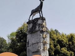 -成都动物园