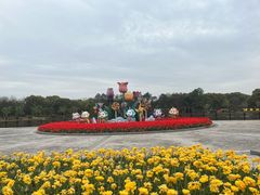 -上海鲜花港
