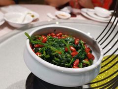 -天福苑(崇宁路店)
