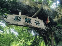 -天目湖山水园