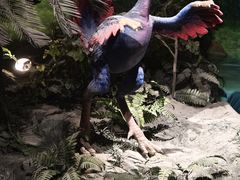 -辽宁古生物博物馆