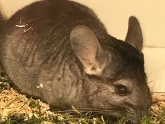 -龙猫仔乐园(惠福东路店)