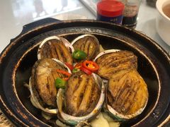 红烧鲍鱼-舌尖上·霞浦滩涂海鲜·新闽菜(总店)