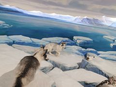 -陕西自然博物馆