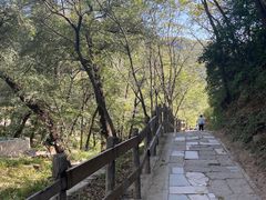 -大岭沟猕猴桃谷风景区