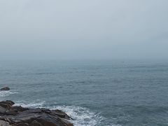 -广东惠东海龟国家级自然保护区