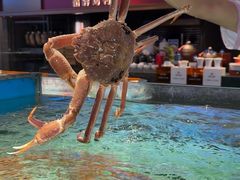 -国惠大酒楼(仓山万达店)