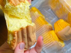 -张记烤鱼王(西街店)