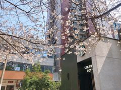 -玛格萝妮比萨屋(四平店)