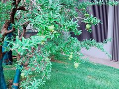 -老兰家传统烧烤炒菜泡馍(小南门店)