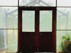 -前小桔亲子创意农场·草莓采摘·露营烧烤