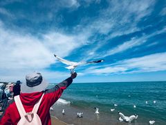 -青海湖国家重点风景名胜区