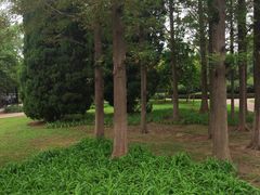 -黑石礁公园