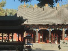 -护国法轮寺