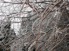 -武陵山森林公园