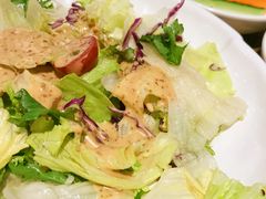 蔬菜沙拉-釜山火炉韩式炭火烤肉(欧洲城店)