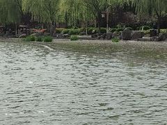 -洛阳市隋唐城遗址植物园
