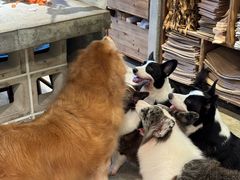 -自由生长植物工作室(深港花卉中心店)