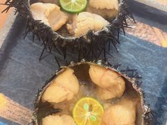 -海胆小馆(东北水饺·春柳店)