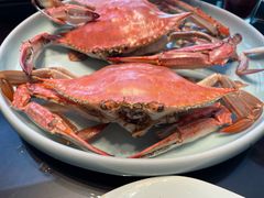 -浩运海鲜·16年专注青岛菜(石老人店)
