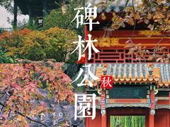 -碑林公园