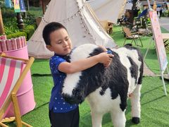 -七彩云南欢乐世界