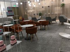 大堂-奈雪的茶(市百一店)