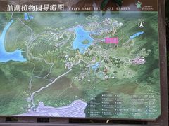 -深圳仙湖植物园