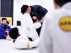 场馆-菠萝格斗巴西柔术训练馆