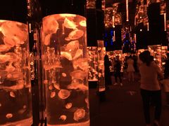 -成都浩海立方海洋公园