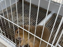 -大悦城(沈阳中街店)