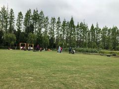 -前小桔亲子创意农场·草莓采摘·露营烧烤