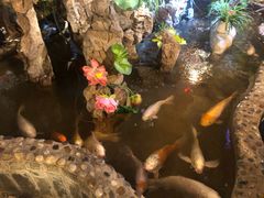 -多哥水傣味餐厅(司马巷店)