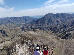 -大岭沟猕猴桃谷风景区