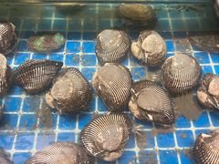 -烧货·活海鲜炭烧(湖滨商业街店)