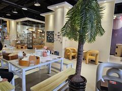 -藏猫猫咖啡主题馆(中央大道店)