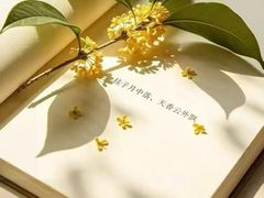 -万达广场(南昌红谷滩店)