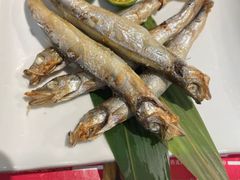 -游You House(西单老佛爷店)