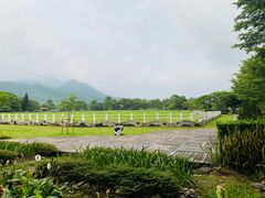 -瑞穗牧场