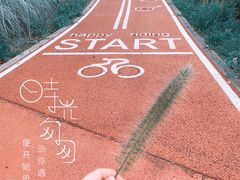 -西京湾花海