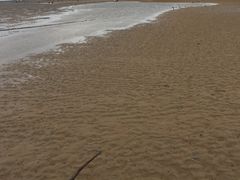 -刘家湾赶海园